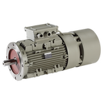 Squirrel CAGE THREE-PHASE Asynchronous BRAKE MOTORS
