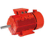 Squirrel CAGE THREE-PHASE Asynchronous Generators